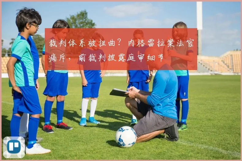 裁判体系被扭曲？内格雷拉案法官痛斥，前裁判披露庭审细节