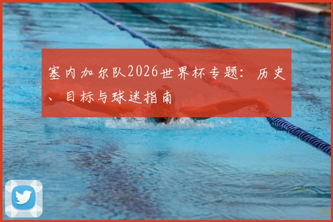 塞内加尔队2026世界杯专题：历史、目标与球迷指南
