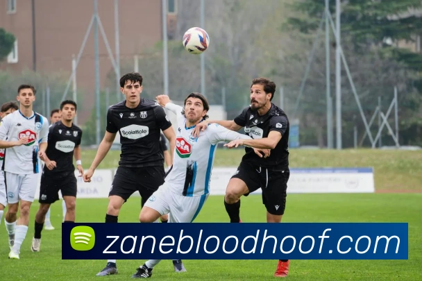 体育赛事直播